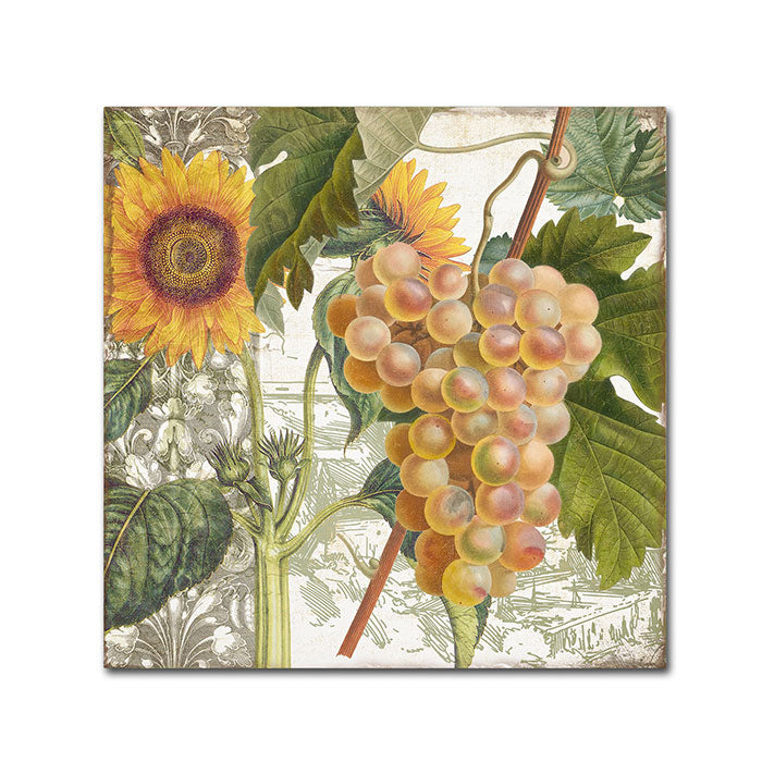 Color Bakery Dolcetto IV Canvas Wall Art 14 x 14 Image 1