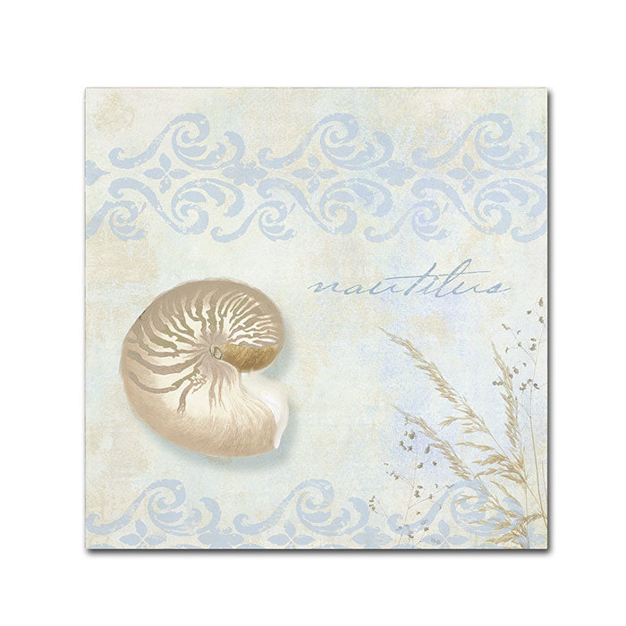 Color Bakery She Sells Seashells I Canvas Wall Art 14 x 14 Image 1