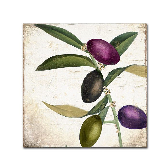 Color Bakery Olive Branch II Canvas Wall Art 14 x 14 Image 1