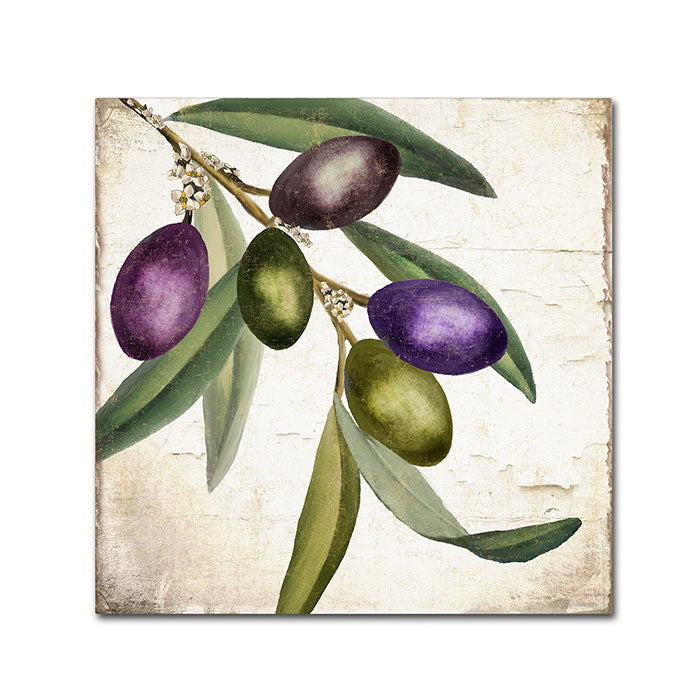 Color Bakery Olive Branch I Canvas Wall Art 14 x 14 Image 1