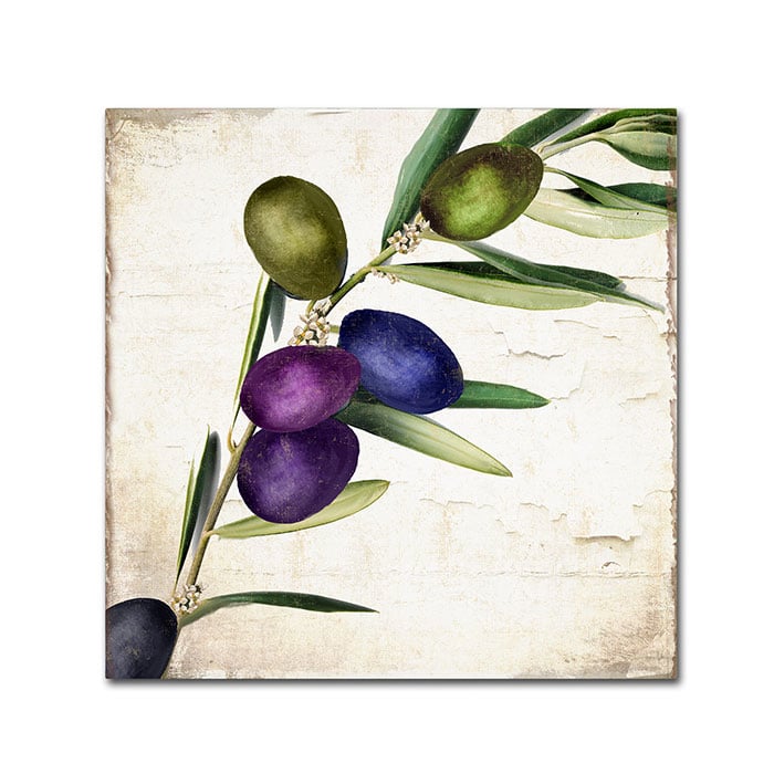 Color Bakery Olive Branch III Canvas Wall Art 14 x 14 Image 1