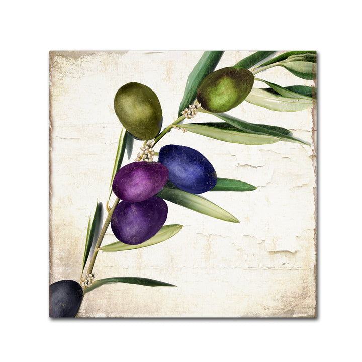 Color Bakery Olive Branch III Canvas Wall Art 14 x 14 Image 2