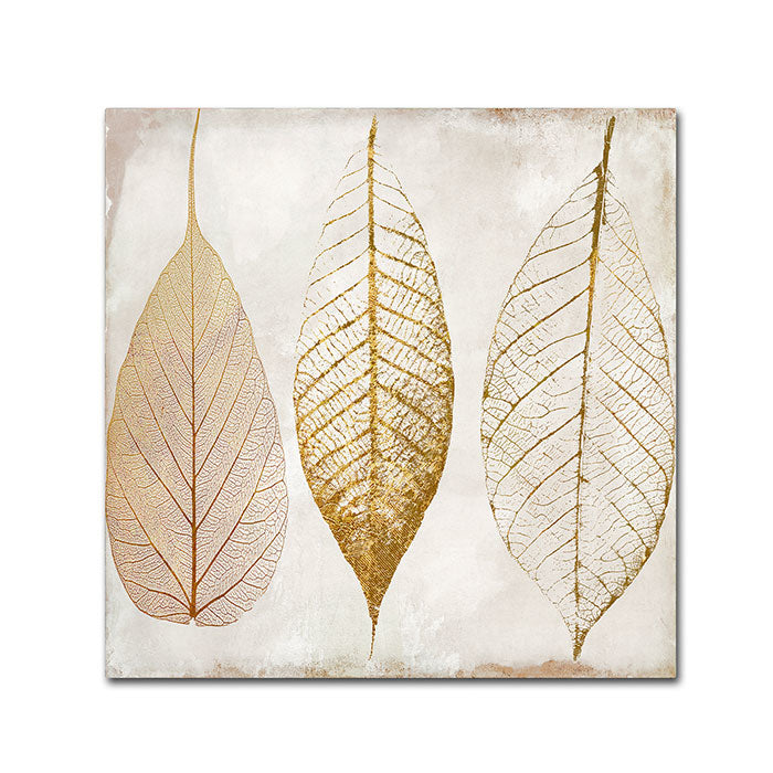 Color Bakery Fallen Gold II Canvas Wall Art 14 x 14 Image 1