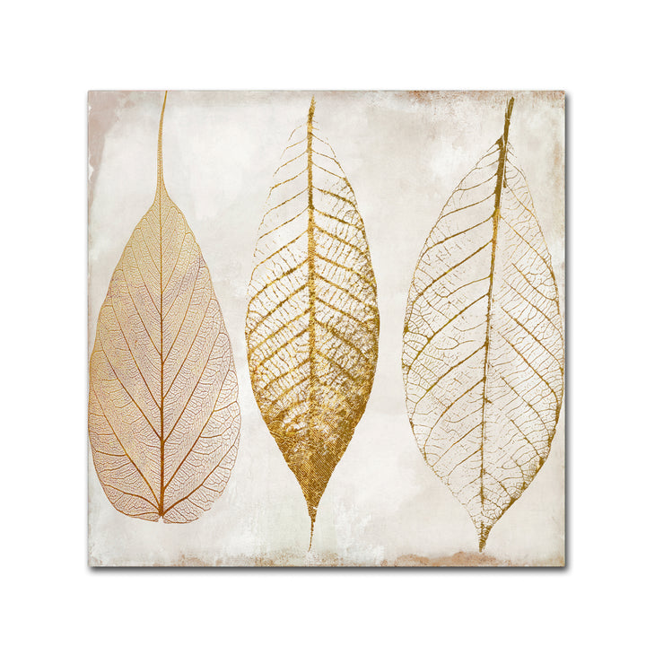 Color Bakery Fallen Gold II Canvas Wall Art 14 x 14 Image 2