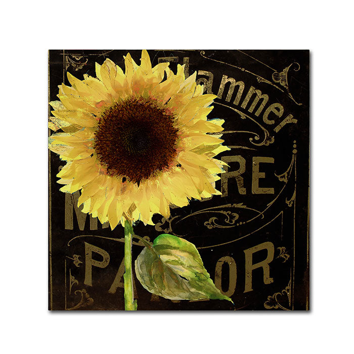 Color Bakery Sunflower Salon I Canvas Wall Art 14 x 14 Image 1