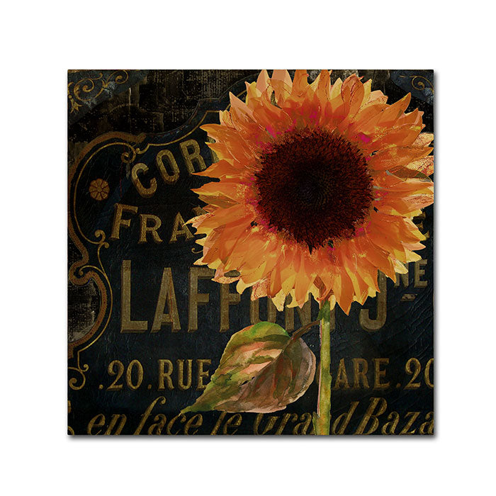 Color Bakery Sunflower Salon II Canvas Wall Art 14 x 14 Image 1