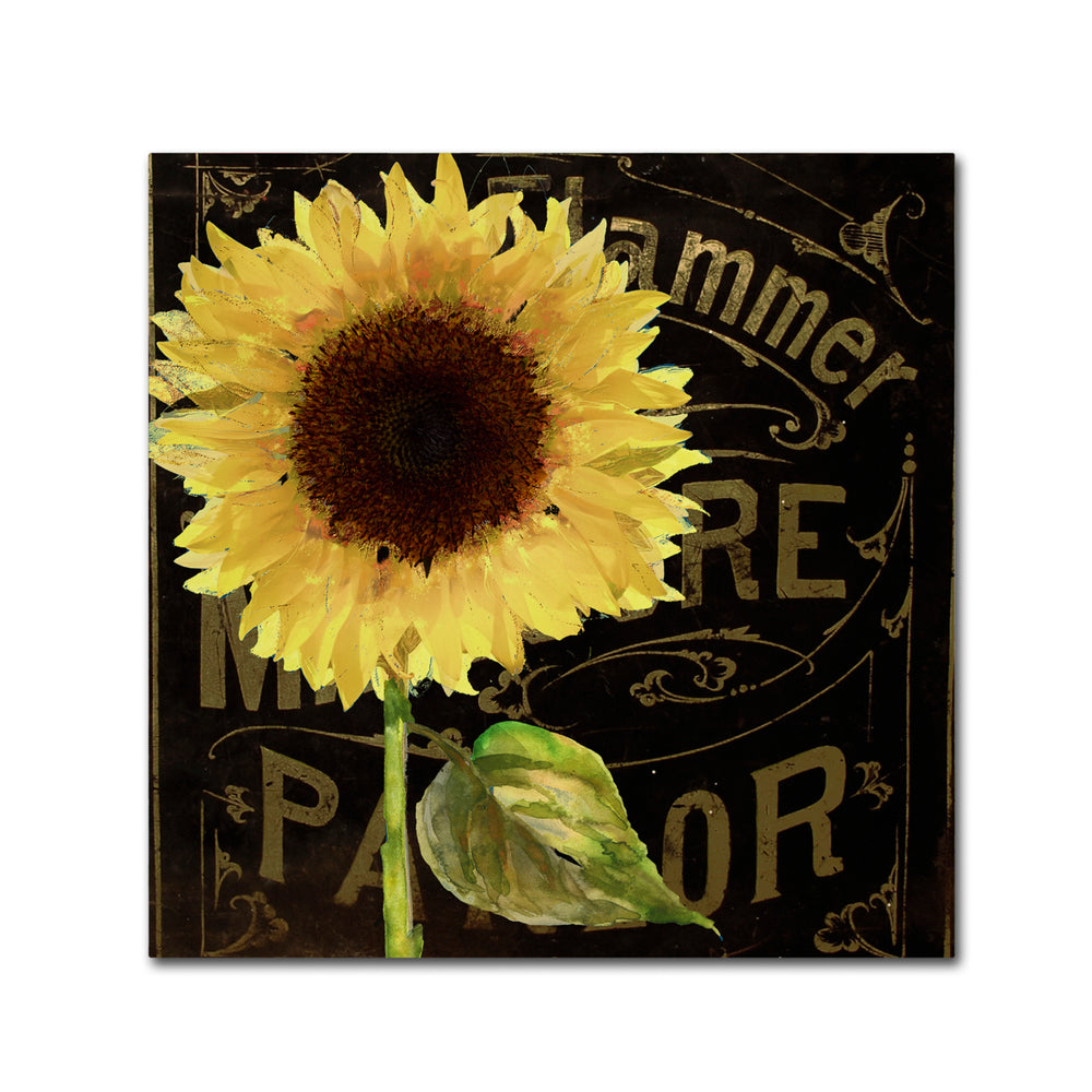 Color Bakery Sunflower Salon I Canvas Wall Art 14 x 14 Image 2