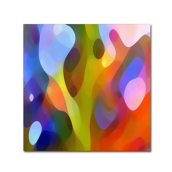 Amy Vangsgard Dappled Light 15 Canvas Wall Art 14 x 14 Image 1