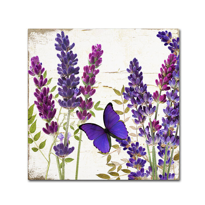 Color Bakery Lavender I Canvas Wall Art 14 x 14 Image 1