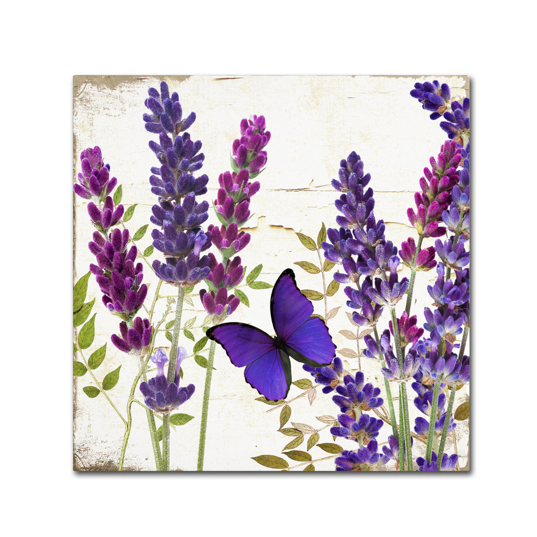 Color Bakery Lavender I Canvas Wall Art 14 x 14 Image 2