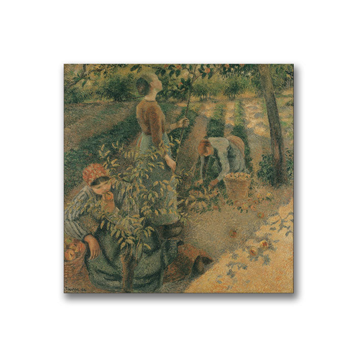 Camille Pissarro The Apple Pickers  Canvas Wall Art 14 x 14 Image 1