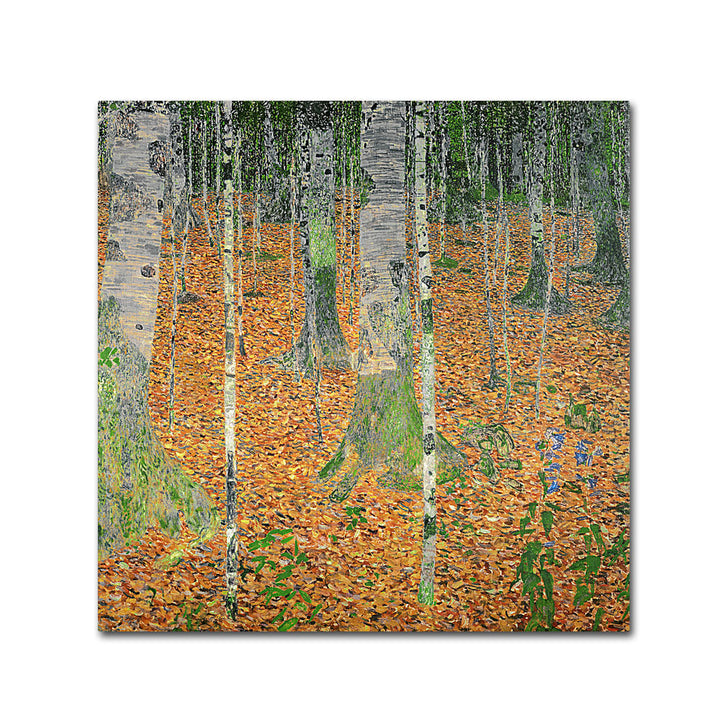 Gustav Klimt The Birch Wood Canvas Wall Art 14 x 14 Image 1