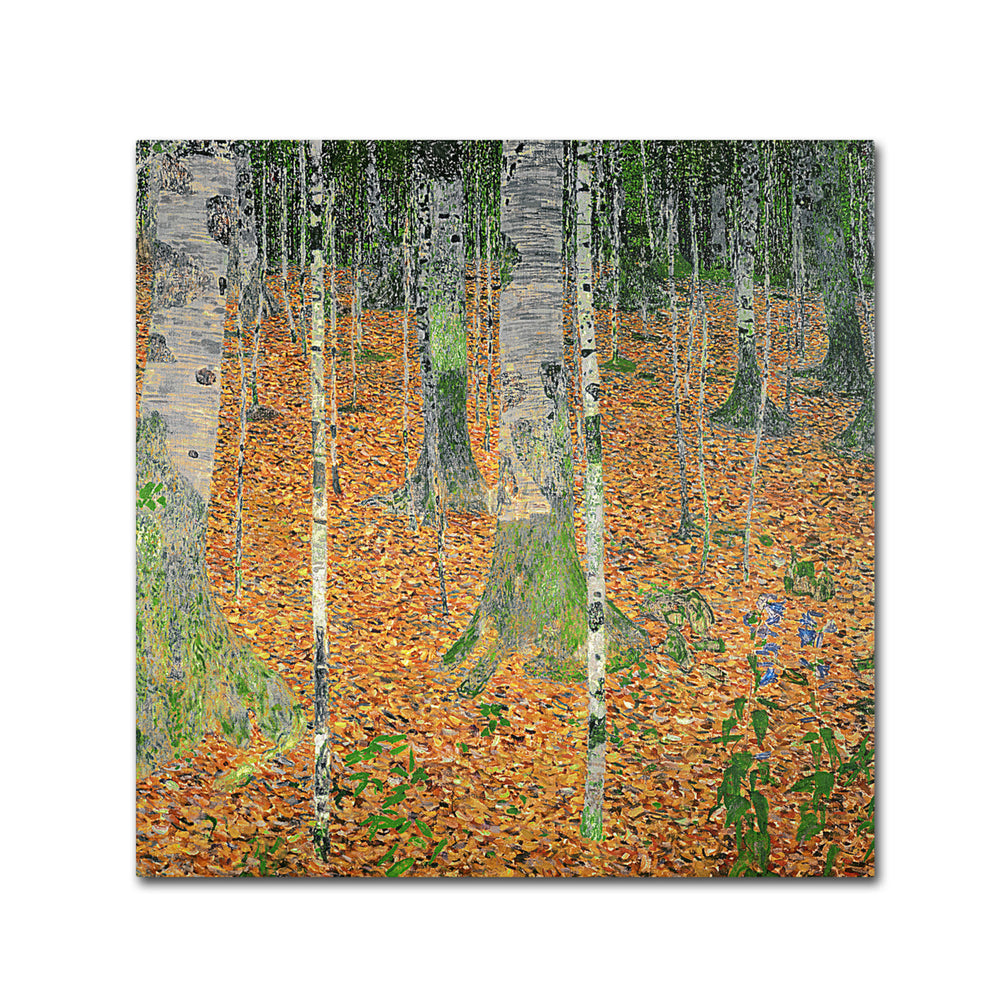 Gustav Klimt The Birch Wood  Canvas Wall Art 14 x 14 Image 2