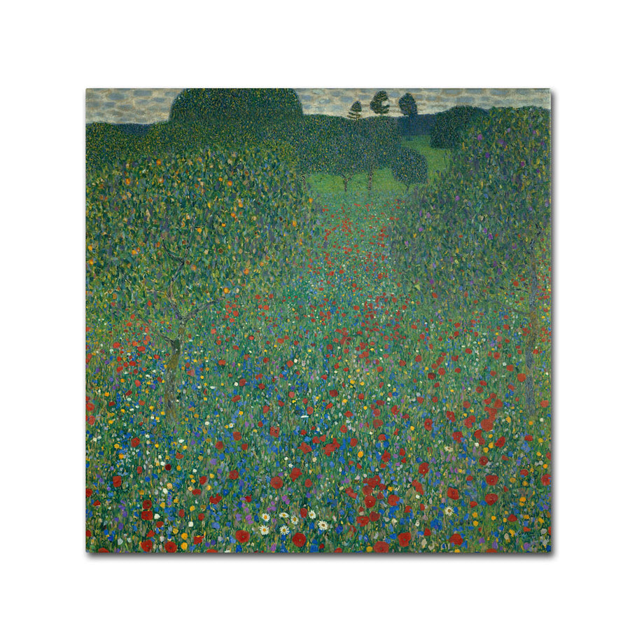 Gustav Klimt Field of Poppies 1907 Canvas Wall Art 14 x 14 Image 1