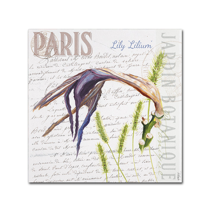 Jennifer Redstreake Paris Botanique Lily Purple Canvas Wall Art 14 x 14 Image 1