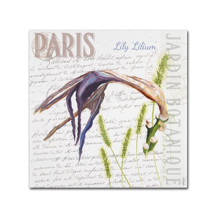 Jennifer Redstreake Paris Botanique Lily Purple Canvas Wall Art 14 x 14 Image 2