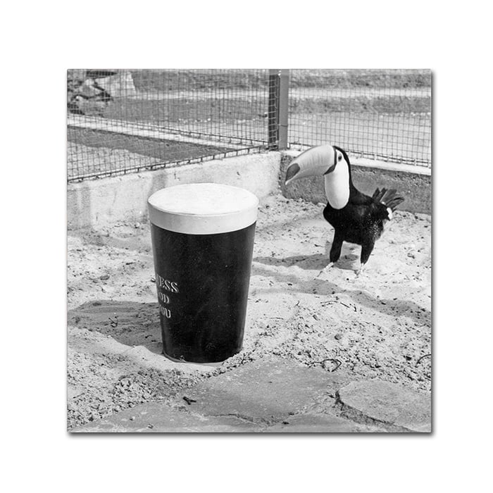 Guinness Brewery Guinness XVII Canvas Wall Art 14 x 14 Image 1