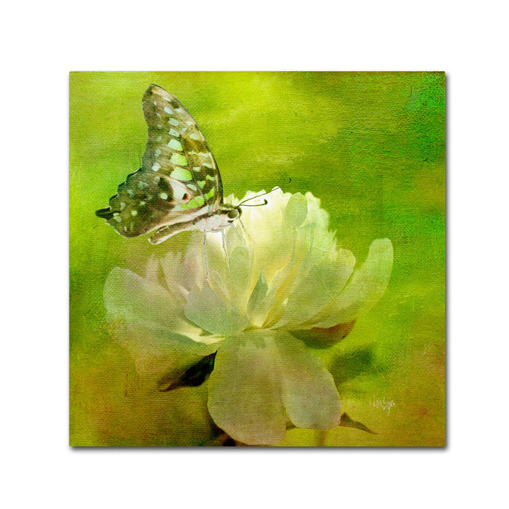 Lois Bryan Malachite on Peony  Canvas Wall Art 14 x 14 Image 1