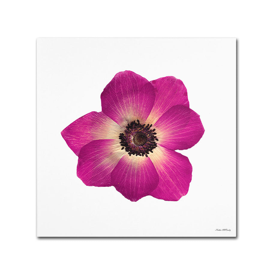 Kathie McCurdy Hot Pink Flower Canvas Wall Art 14 x 14 Image 1