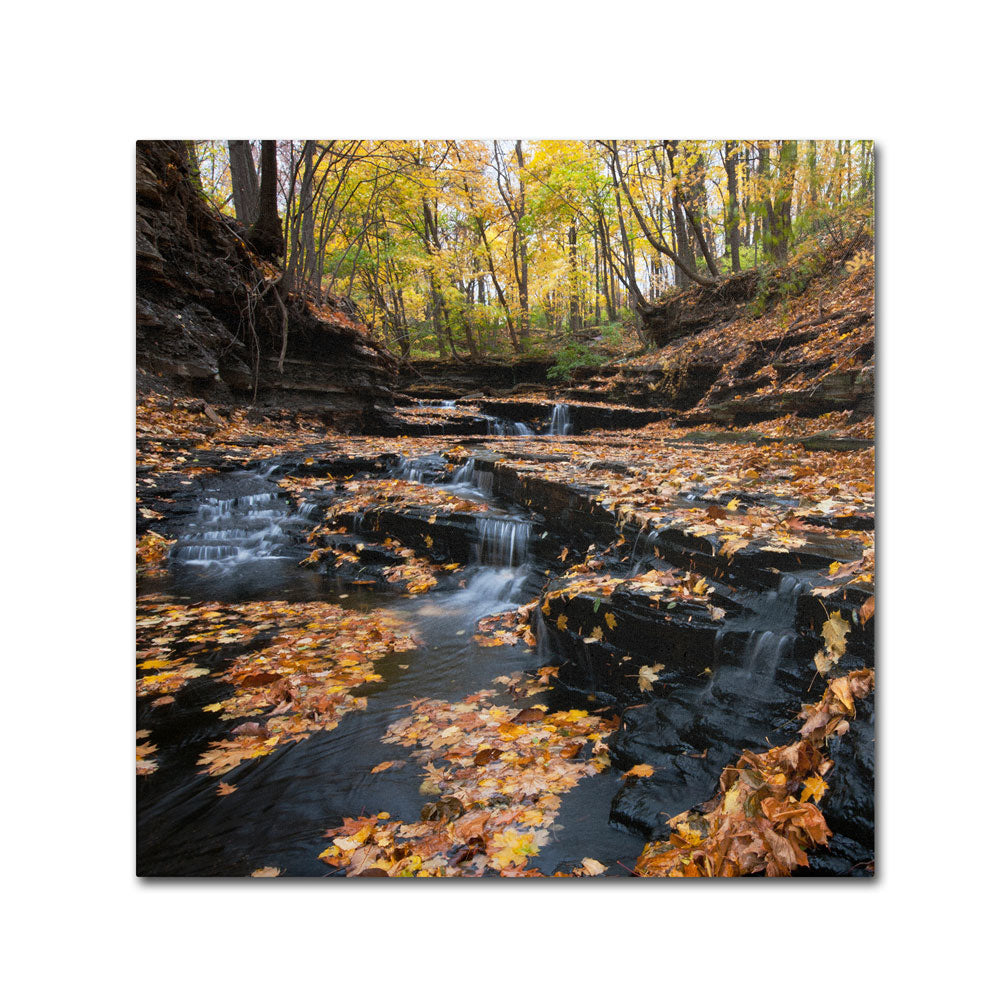 Kurt Shaffer Late Autumn Falls Canvas Wall Art 14 x 14 Image 1