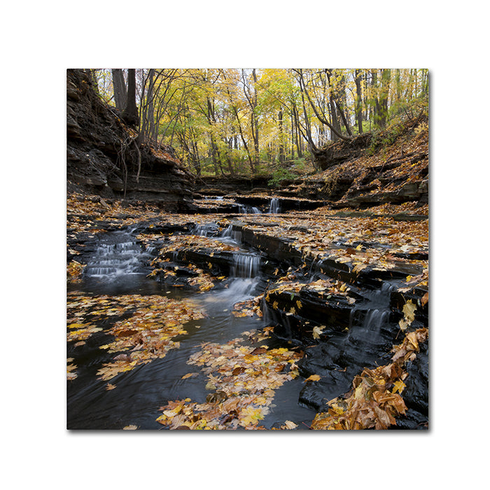 Kurt Shaffer Lakeview Autumn Falls Canvas Wall Art 14 x 14 Image 1