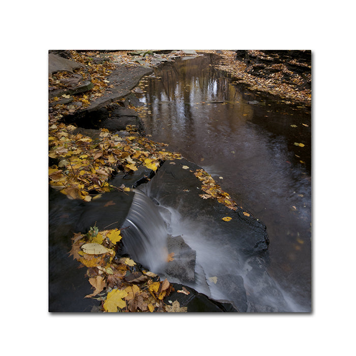 Kurt Shaffer Lakeview Autumn Waterfall 2 Canvas Wall Art 14 x 14 Image 1