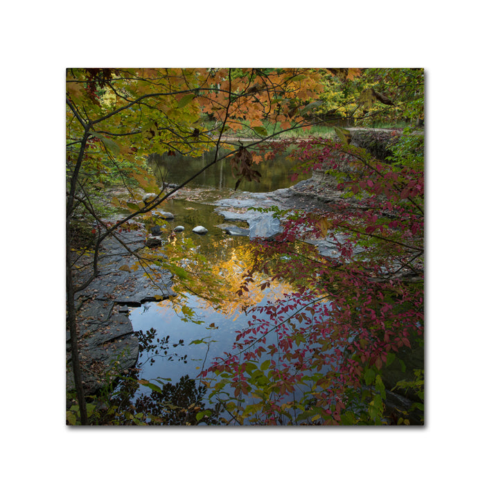 Kurt Shaffer Why I Love Autumn 3 Canvas Wall Art 14 x 14 Image 1