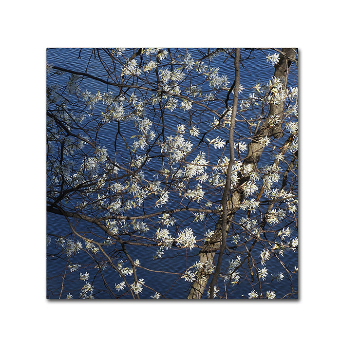 Kurt Shaffer Springtime at the Lake Canvas Wall Art 14 x 14 Image 1