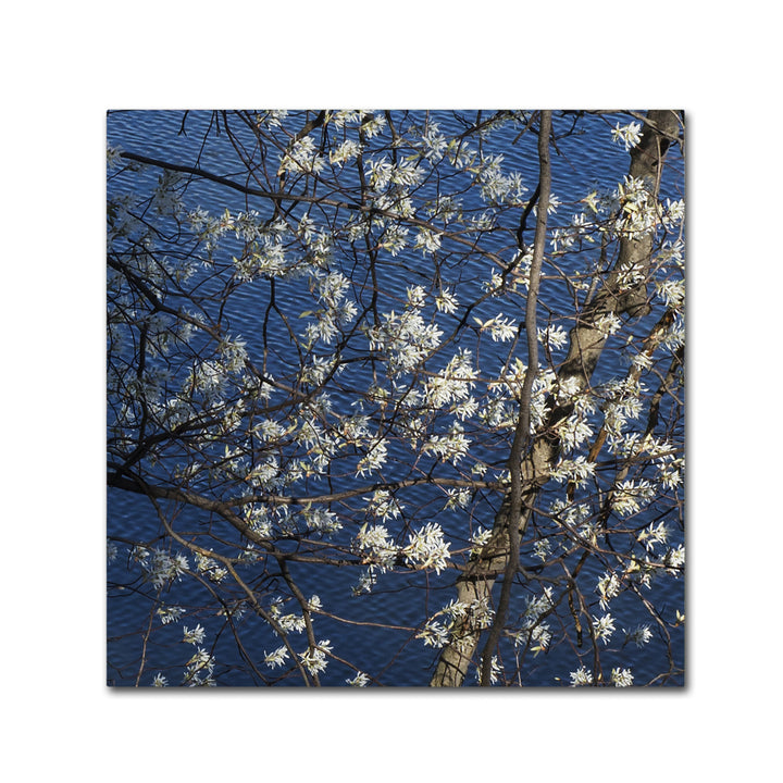 Kurt Shaffer Springtime at the Lake Canvas Wall Art 14 x 14 Image 2