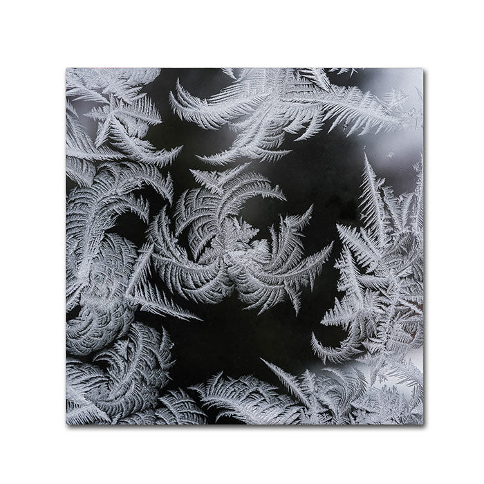 Kurt Shaffer Window Frost Pattern 2 Canvas Wall Art 14 x 14 Image 1