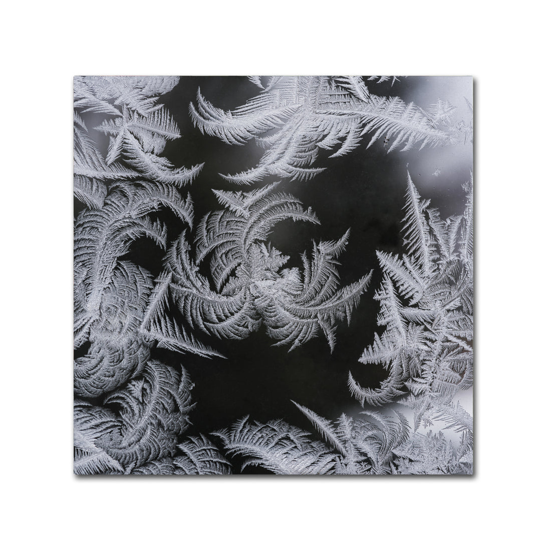 Kurt Shaffer Window Frost Pattern 2 Canvas Wall Art 14 x 14 Image 2