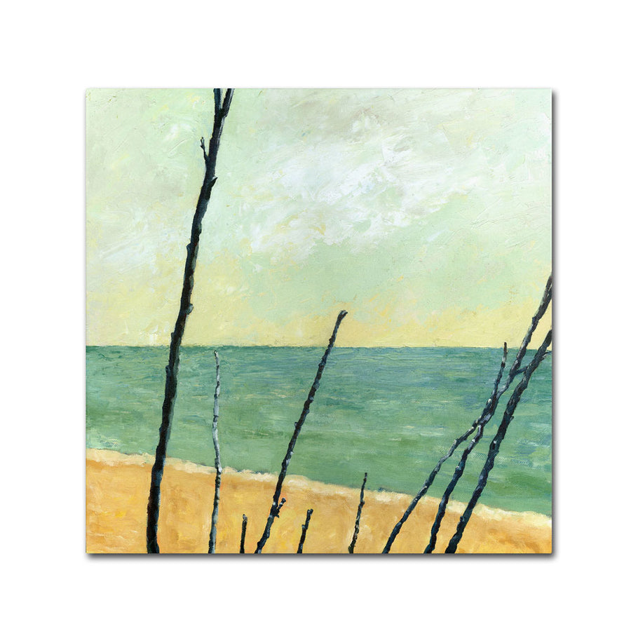 Michelle Calkins Branches on the Beach Canvas Wall Art 14 x 14 Image 1