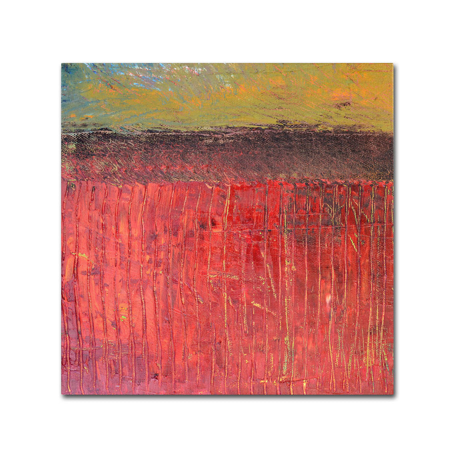 Michelle Calkins Highway Series Cranberry Bog Canvas Wall Art 14 x 14 Image 1