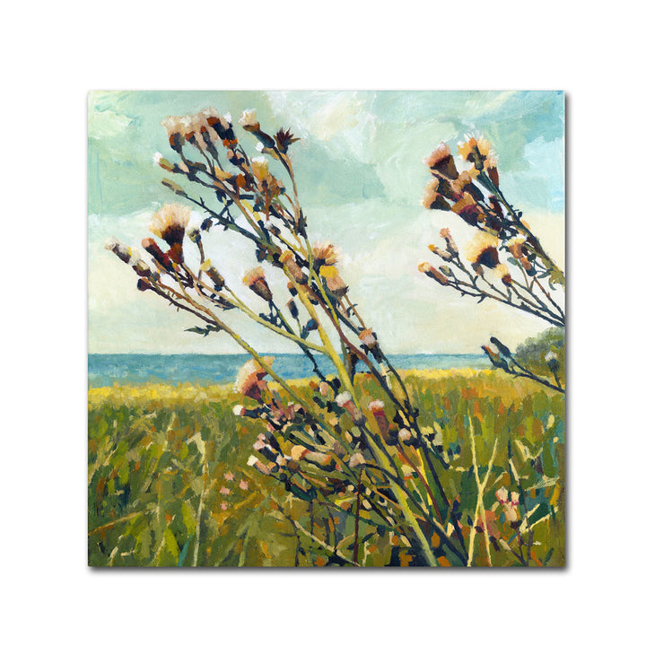 Michelle Calkins Thistles on the Beach Canvas Wall Art 14 x 14 Image 1