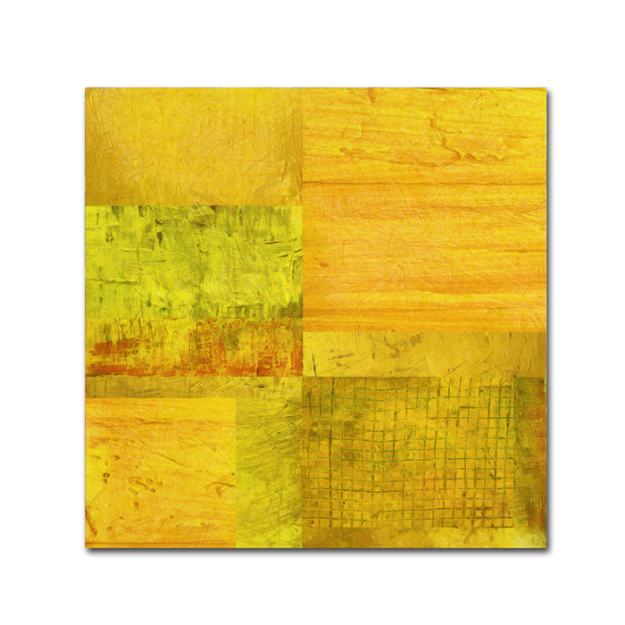 Michelle Calkins Essence of Yellow Canvas Wall Art 14 x 14 Image 1