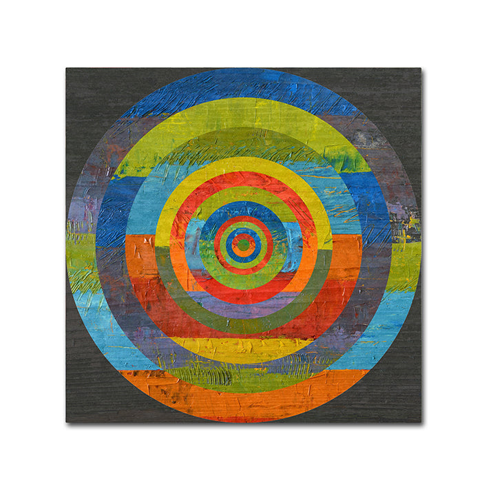 Michelle Calkins Full Circle Canvas Wall Art 14 x 14 Image 1