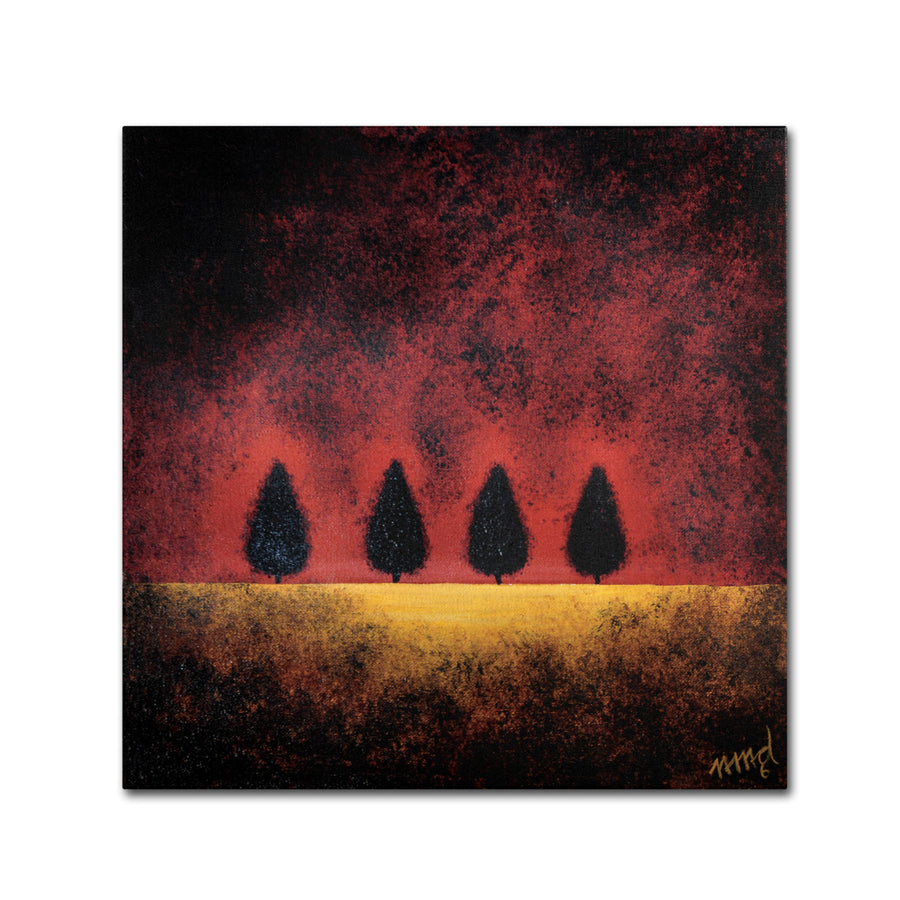 On Fire by Nicole Dietz Canvas Wall Art 14 x 14 Image 1