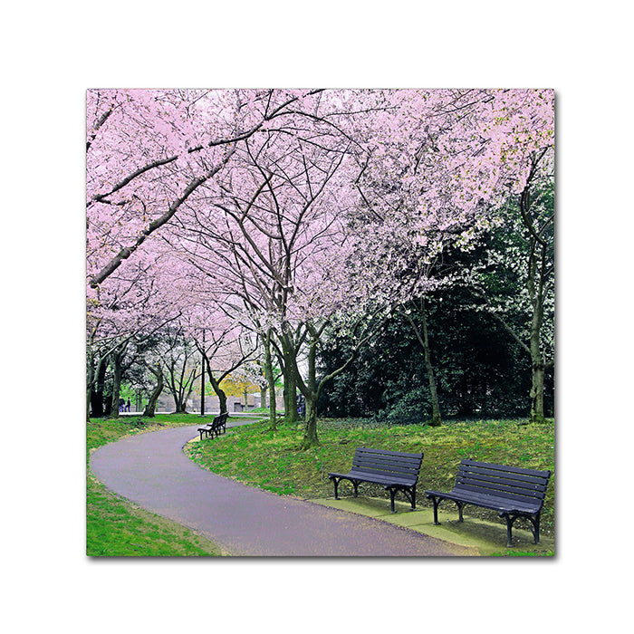 CATeyes Spring Path Canvas Wall Art 14 x 14 Image 1