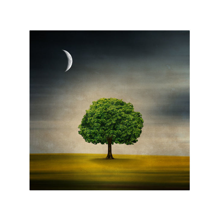 Philippe Sainte-Laudy Under the Moon Canvas Wall Art 14 x 14 Image 1