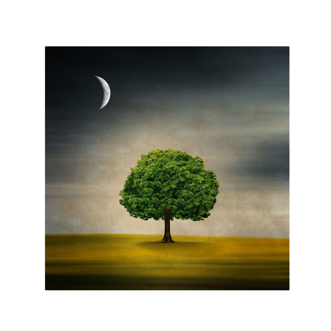 Philippe Sainte-Laudy Under the Moon Canvas Wall Art 14 x 14 Image 2