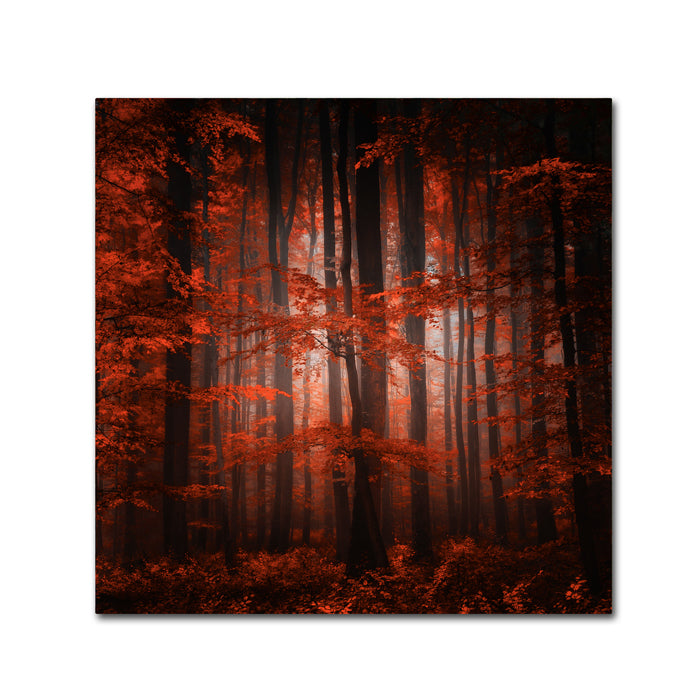 Philippe Sainte-Laudy Red Parallel Universe Canvas Wall Art 14 x 14 Image 1