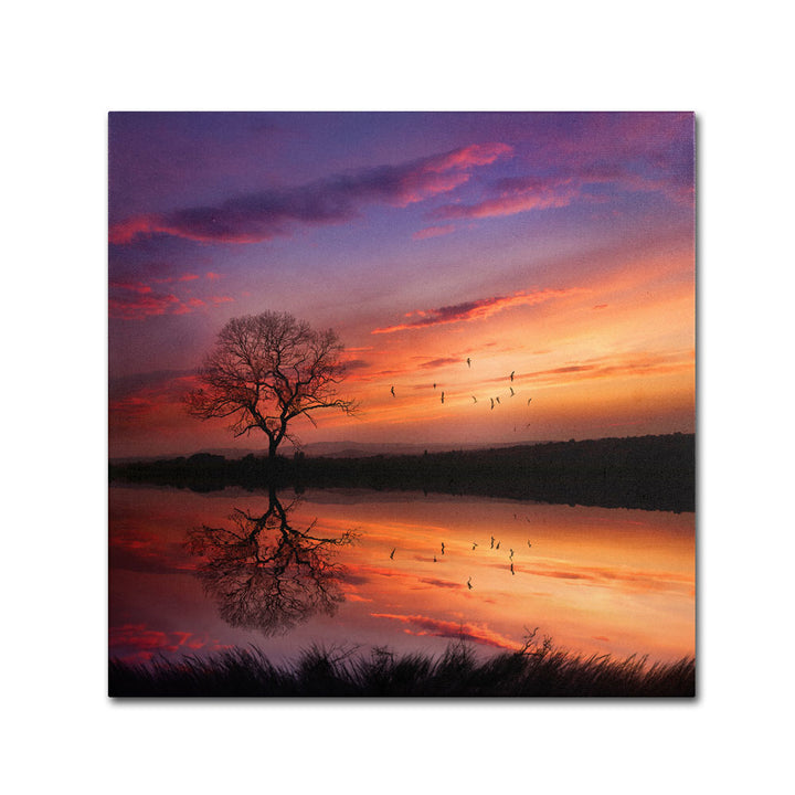 Philippe Sainte-Laudy Dream Bigger Canvas Wall Art 14 x 14 Image 1