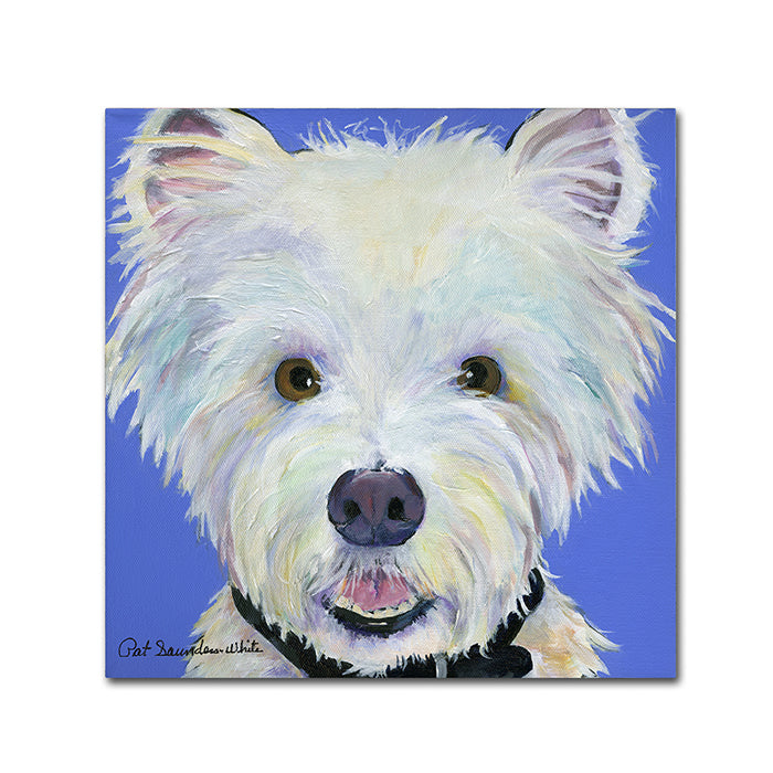 Pat Saunders-White Amos Canvas Wall Art 14 x 14 Image 1