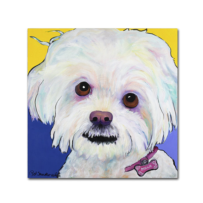 Pat Saunders-White Lucy Canvas Wall Art 14 x 14 Image 1