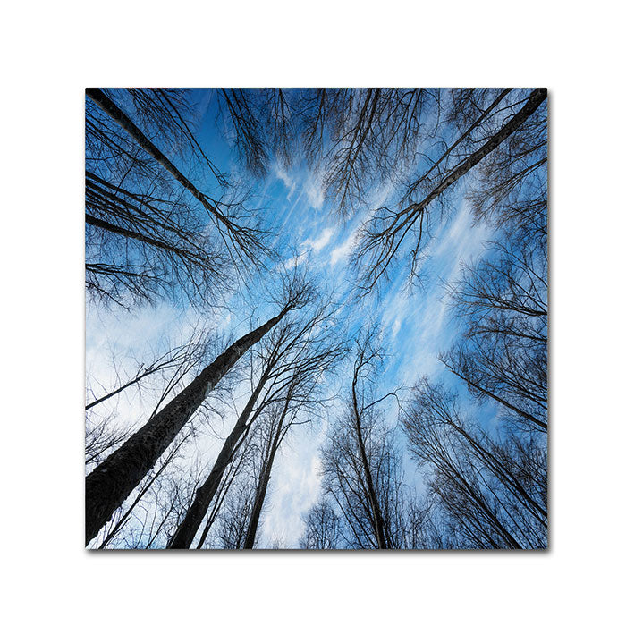 Philippe Sainte-Laudy Blue Crunch Canvas Wall Art 14 x 14 Image 1