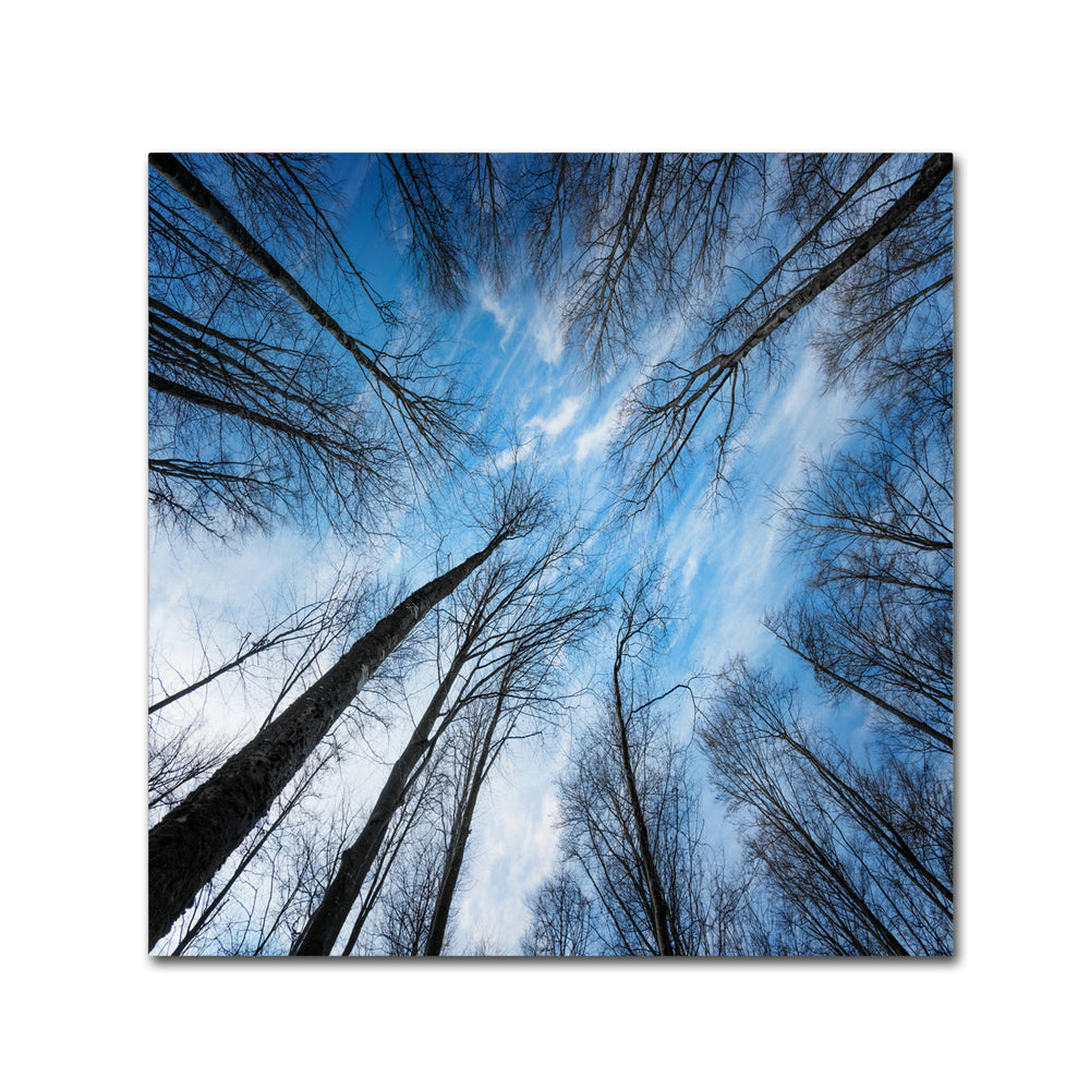 Philippe Sainte-Laudy Blue Crunch Canvas Wall Art 14 x 14 Image 2