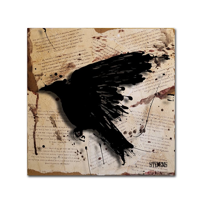 Roderick Stevens The Raven 3 Canvas Wall Art 14 x 14 Image 1