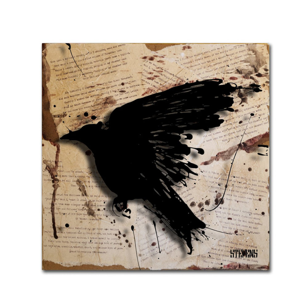 Roderick Stevens The Raven 3 Canvas Wall Art 14 x 14 Image 2