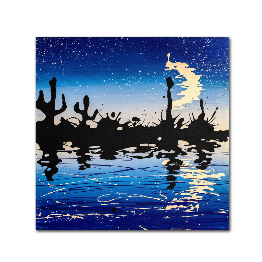 Roderick Stevens Desert Crescent Moon Lake Canvas Wall Art 14 x 14 Image 2