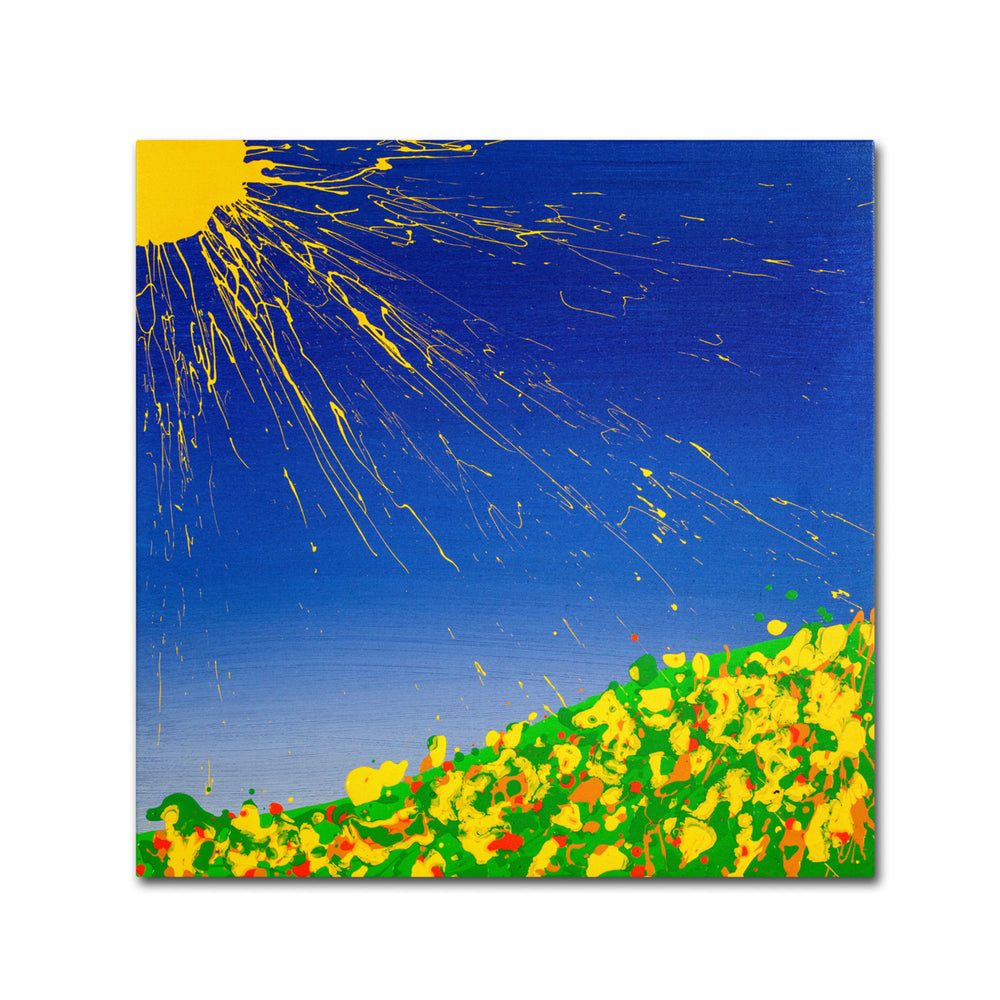 Roderick Stevens Sunny Field Canvas Wall Art 14 x 14 Image 2